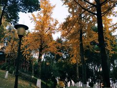 -重庆市江北嘴中央商务区中央公园