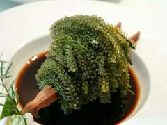 -安多素食(广仁寺路店)