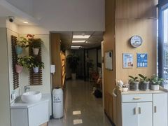 -派联宠物医院·24h·CT·异宠