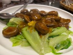 -大树头森林餐厅(番禺广场店)