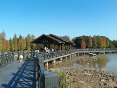 -海珠湖公园