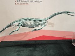 -江宁织造博物馆