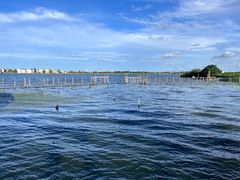 -同里国家湿地公园