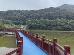 -黄埔油麻山森林公园