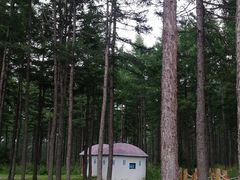 -塞罕坝国家级自然保护区