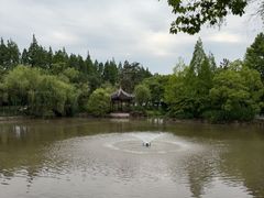 -瀛洲公园