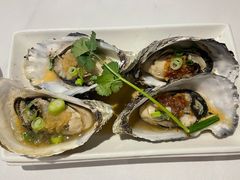 -食为先(Shark Fin)