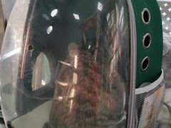 -美美宠物诊疗中心·异宠·骨科(滨江东信分院)
