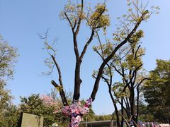 -云溪植物园