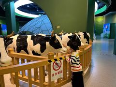 -中国杭州低碳科技馆