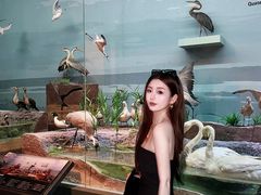 -大庆市博物馆