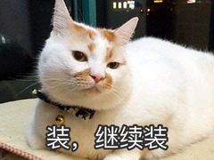 -金陵老丁家馄饨(新街口店)