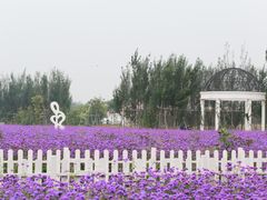 -渔岛海洋度假区