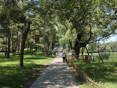 -承德避暑山庄景区