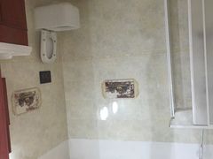 -金山农民画村-枫泾波兰倒置屋