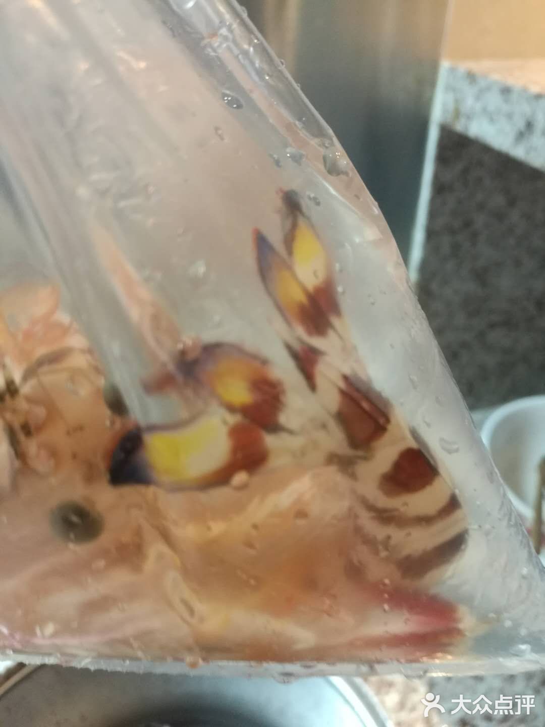 保持海鲜的鲜甜咸味 就吃蒸美味