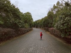 -上海海湾国家森林公园