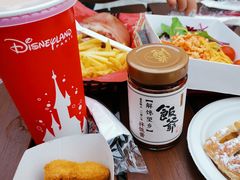 -巴黎迪士尼乐园