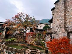 -塔川景区