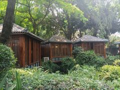 -大妙火锅·非物质文化遗产(东湖公园店)