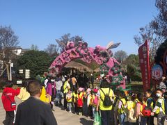 -武汉紫薇都市田园