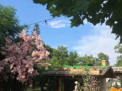 -HERRE·FARM 赫尔露营农场·团建聚会包场