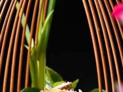 -鉴川·川菜传承(星汇两江店)