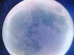-天津梵高星空艺术馆(天河城旗舰店)