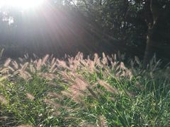 -宝界山林公园