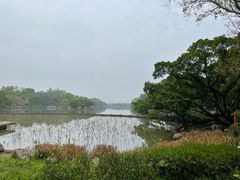 -江心屿景区