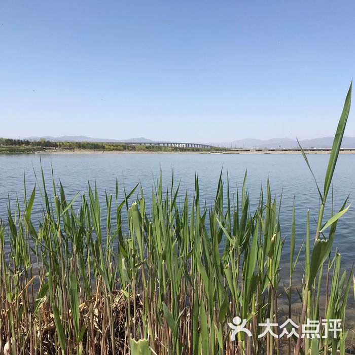 晓月湖公园图片