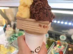 -柠檬车露(卖草地店)