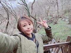 -皇藏峪国家森林公园