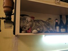-猫色咖啡·猫咖