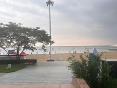 -碧海金沙