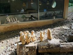-杭州少年儿童公园