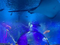 -沈阳海洋探索中心