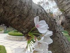-青岛鑫江温德姆酒店