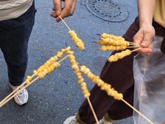 -杨小佳·齐齐哈尔烤肉·烤串(广州店)
