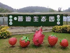 -普迪生态园