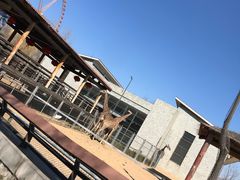 -石家庄市动物园