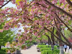 -石家庄市植物园