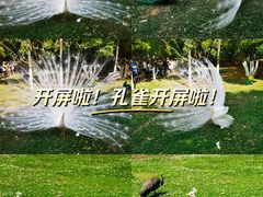 -昆明动物园