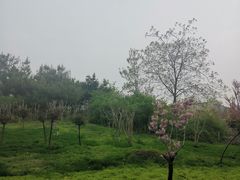 -石家庄市动物园