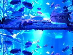 -沈阳海洋探索中心