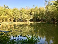 -大屏嶂森林公园