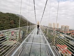 -客天下恐龙水晶玻璃桥