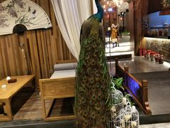 -小天厨民间菜馆(深圳街店)