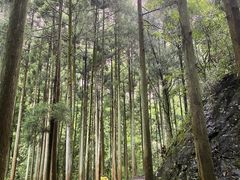 -雁荡山大龙湫景区