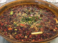 壁山兔-瓦房兔(璧山店)
